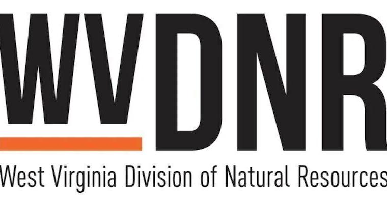 Black bear sighting in Huntington, DNR says don't feed it | News - Vimarsana News