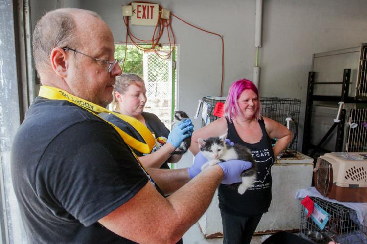 Photos Volunteers help Huntington Animal Control Multimedia herald