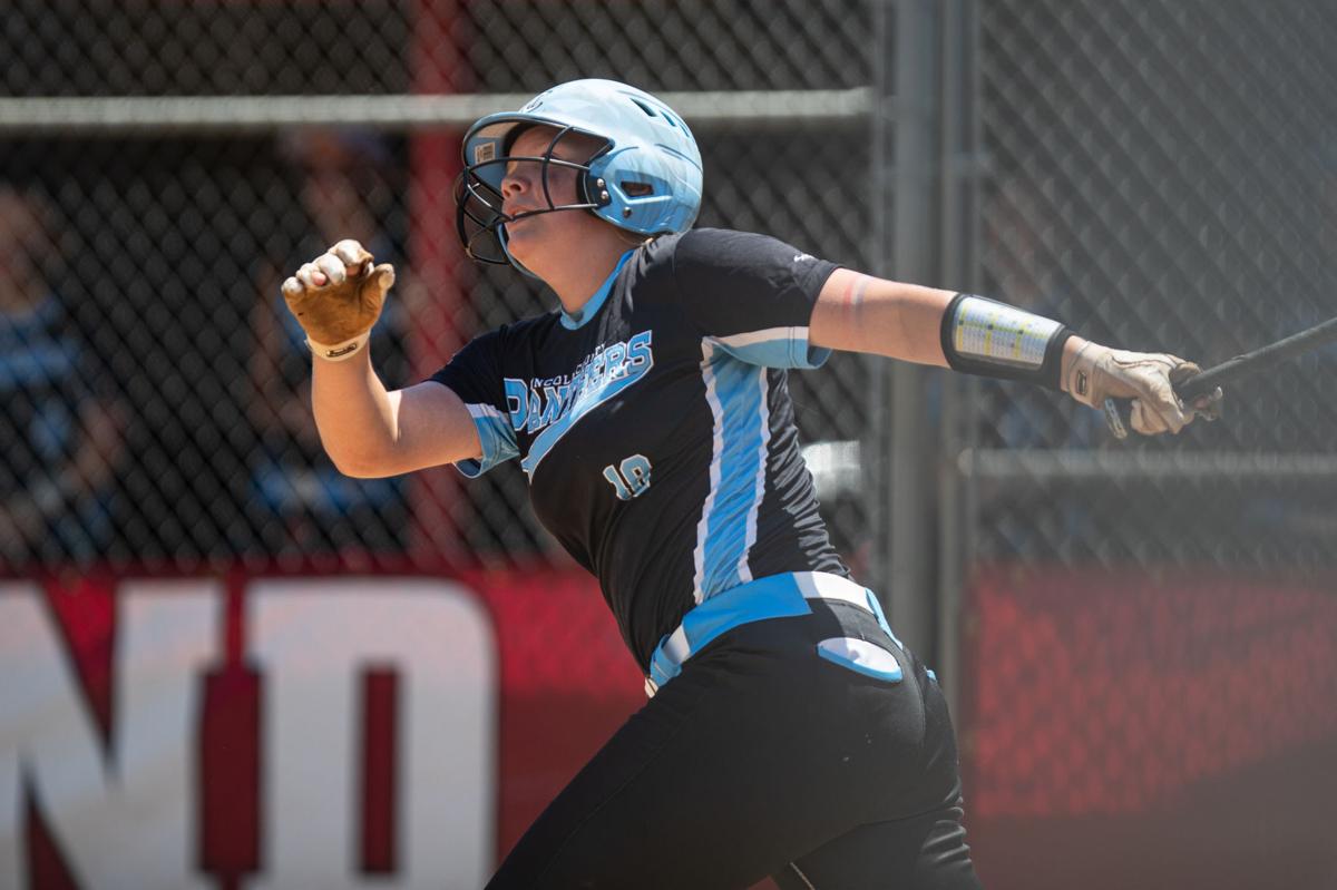 20210606 aaasoftball 23.jpg