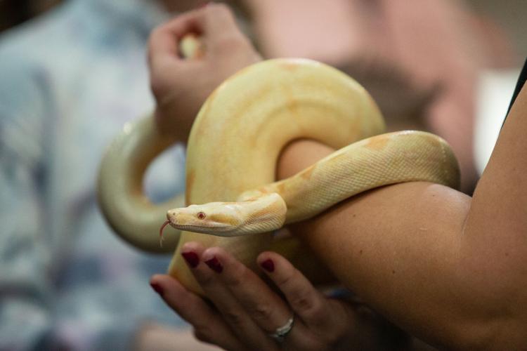 20230122_hd_animalshow