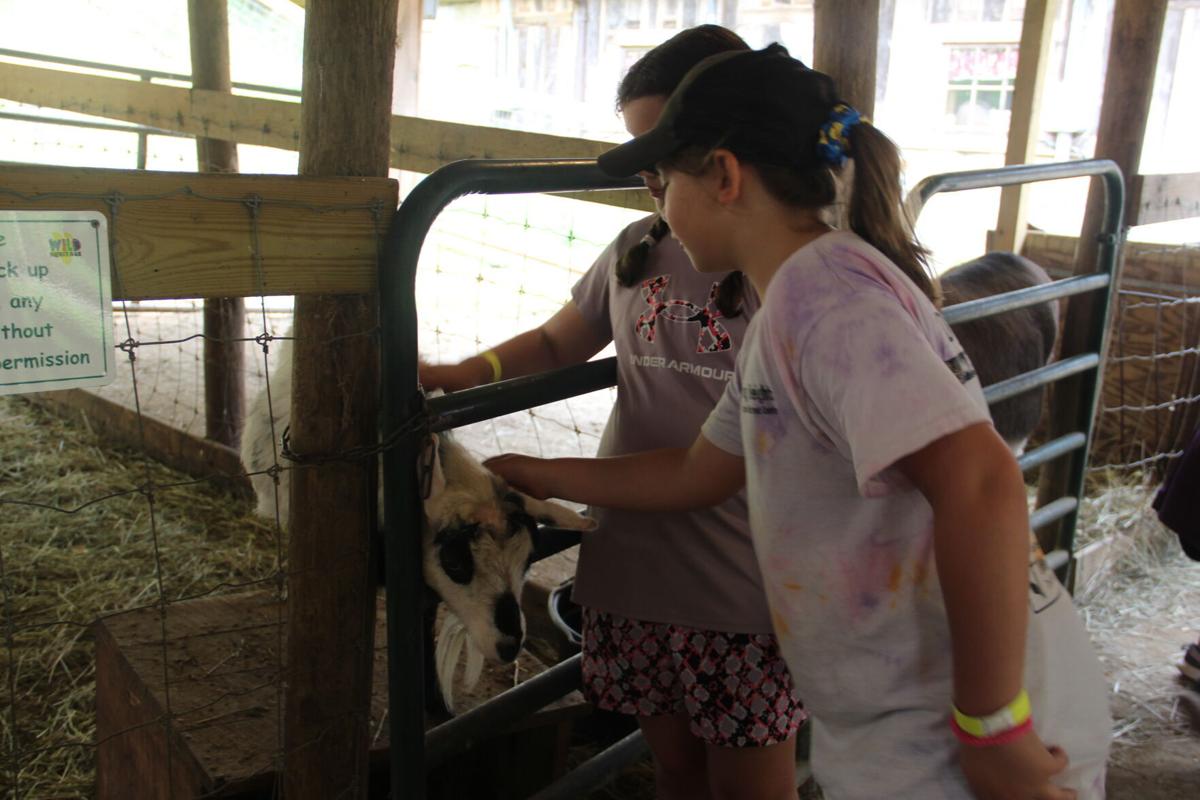 HiteSaunders uses COVID vaccine prize money for trip to Heritage Farm