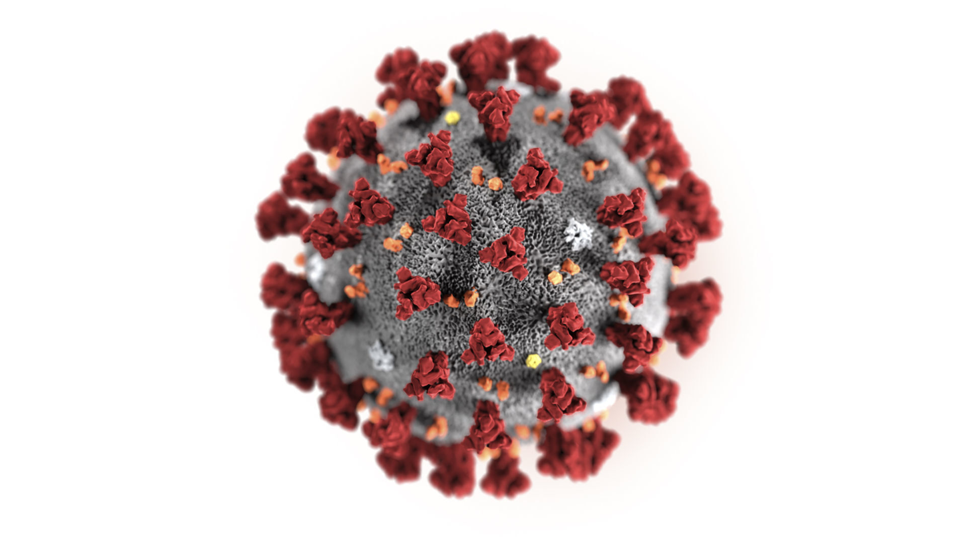 New COVID-19 strain detected in West Virginia - Vimarsana News