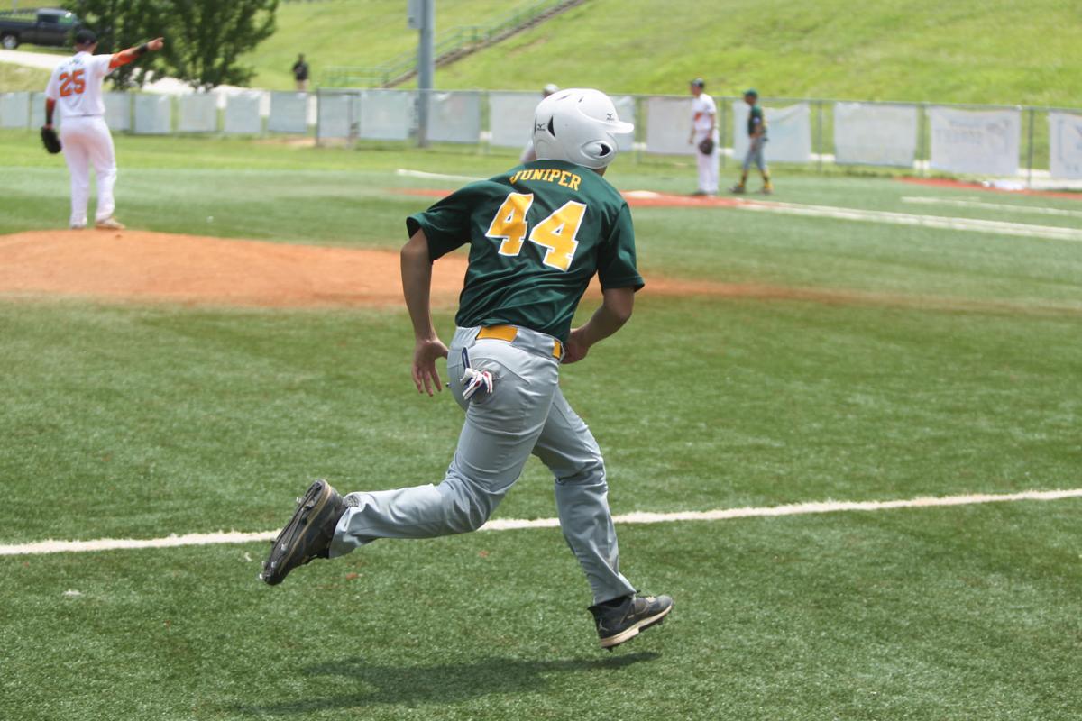 Photos Babe Ruth State Baseball Championship Photo Galleries
