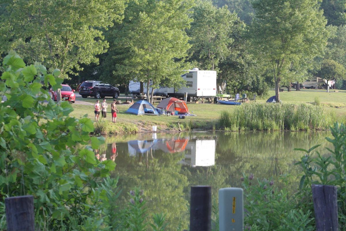 Gallery Beech Fork Marina Photos News