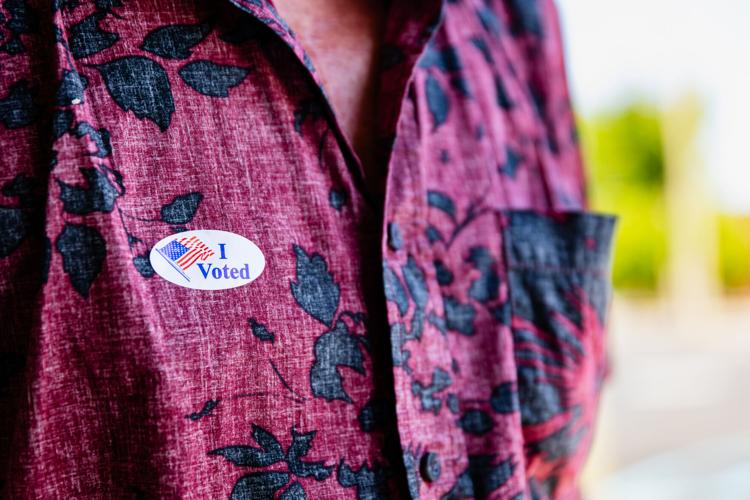 Primary election turnout light, but no issues reported | Election 2026 ...