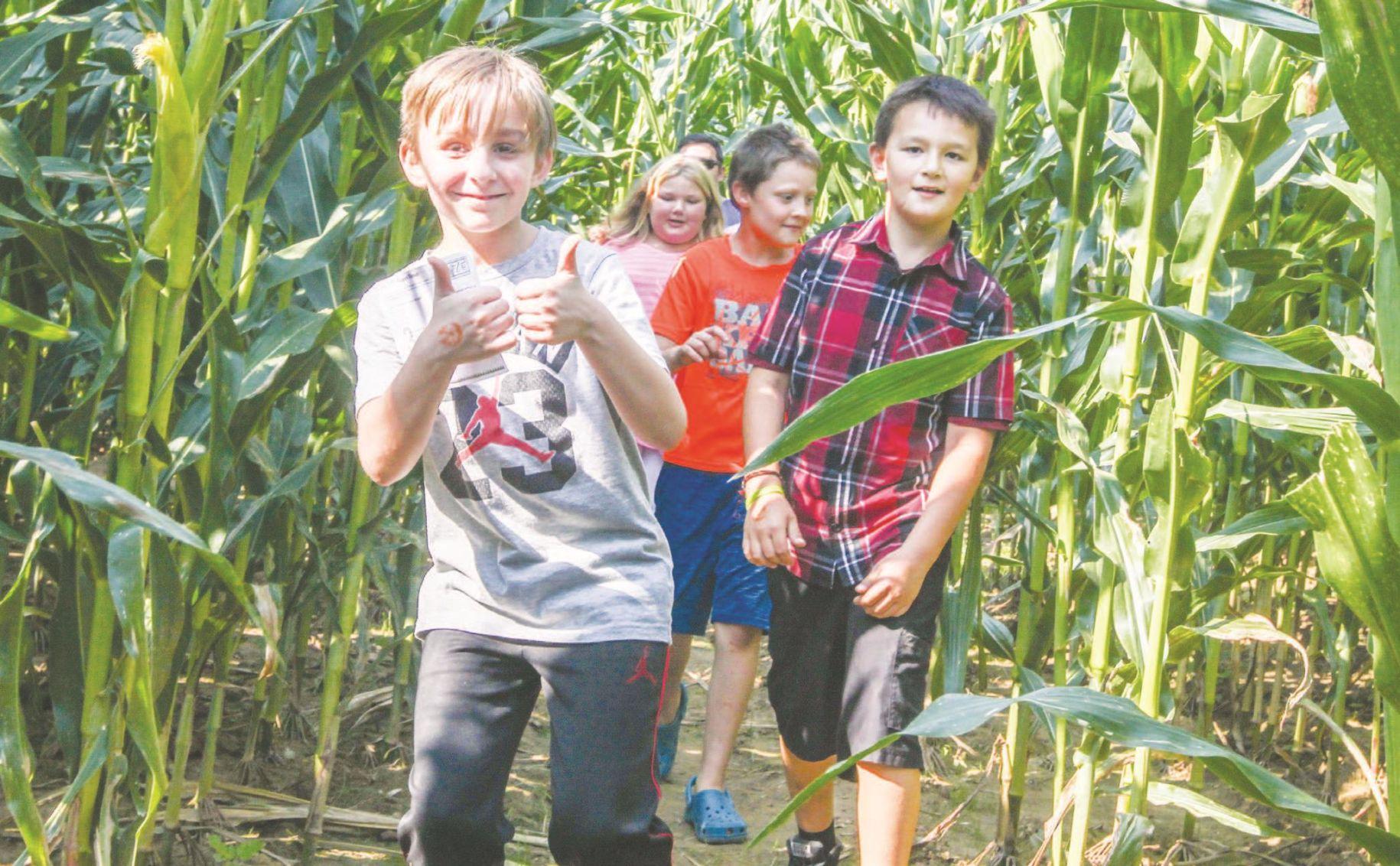 Corn Maze Opening In Milton Herald Dispatch Com