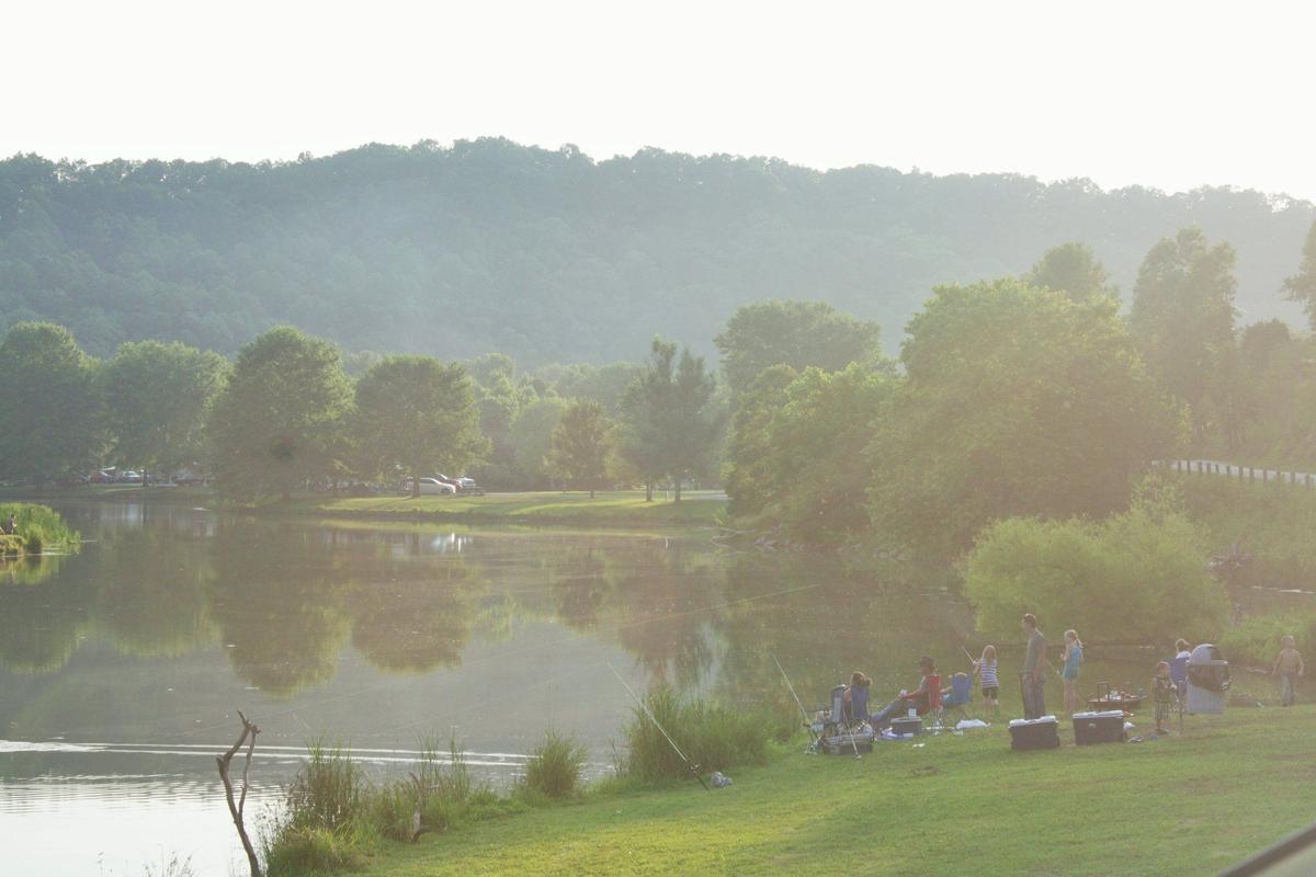 Gallery Beech Fork Marina Photos News