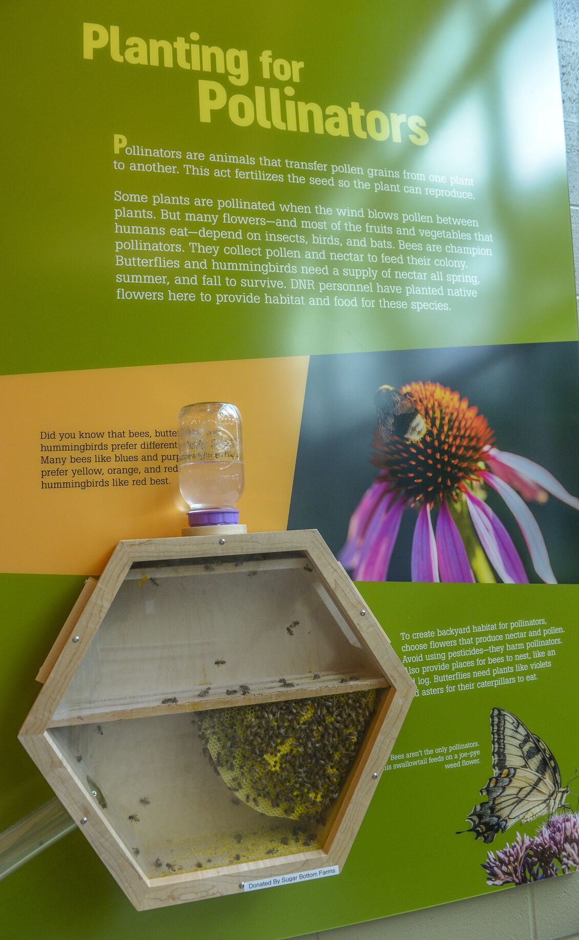 Activities abound at Forks of Coal wildlife education center News