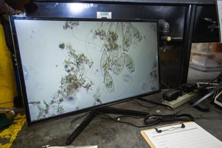 20221120_hd_waterquality