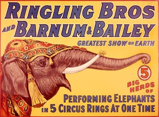 Ringling Brothers is gone but circus elephants & trains live on in memory! 