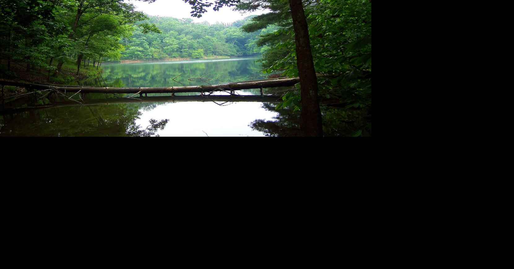 Gallery: Greenbo Lake State Resort Park | Photos News | herald-dispatch.com