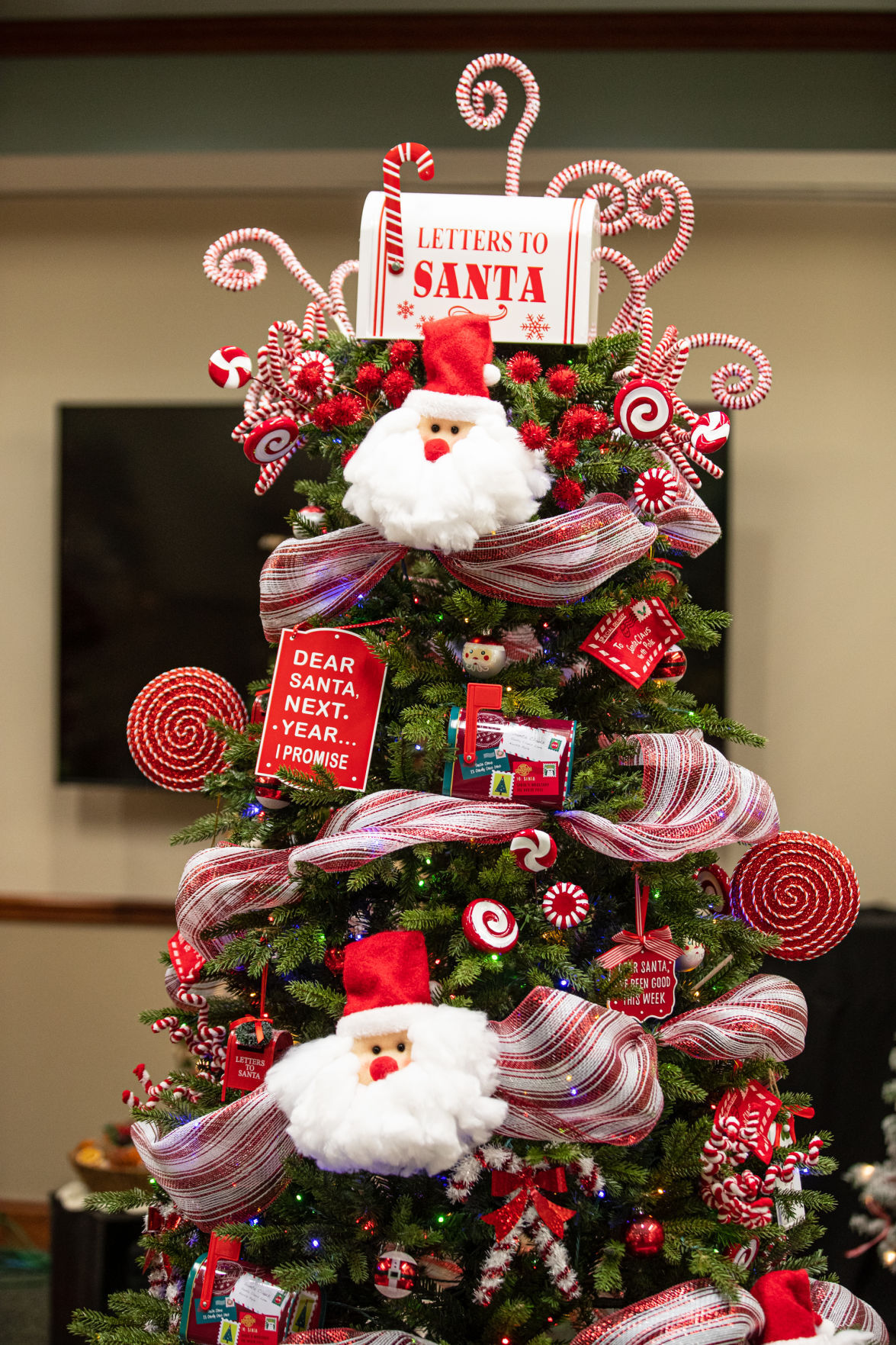 20211117 festivaloftrees 03.jpg