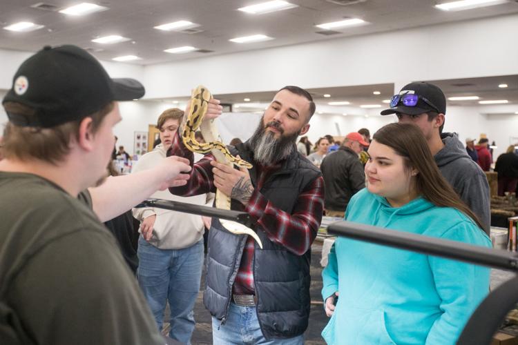 Photos West Virginia Reptile Expo visits Mountain Health Arena Multimedia