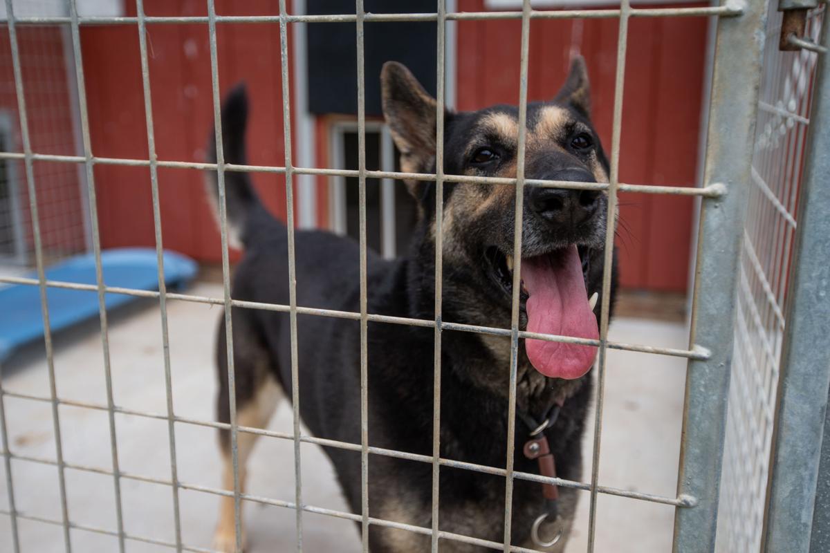 New barn project slated at Huntington Cabell Wayne Animal Shelter