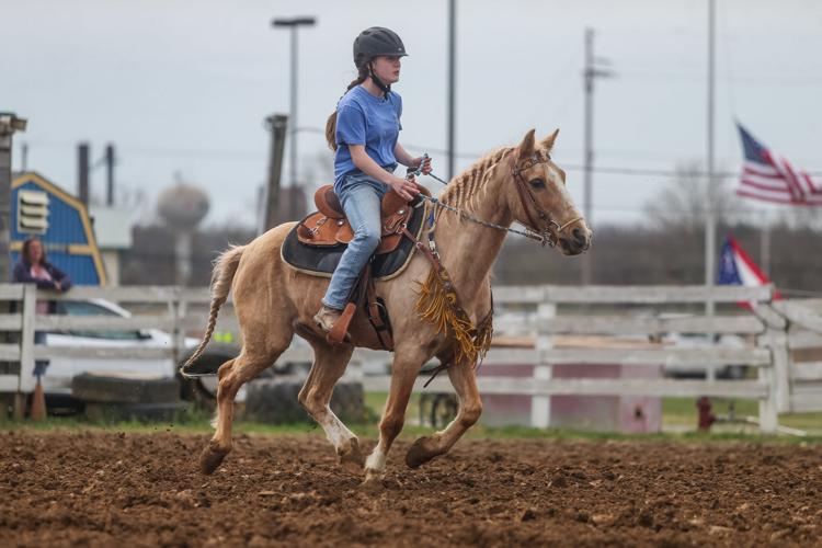 Photos Lawrence County Horseman’s Association horse show Photo