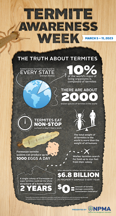 Termite Awareness Week Infographic.png
