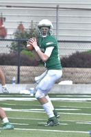 Dragons QB Ward improving in tough job