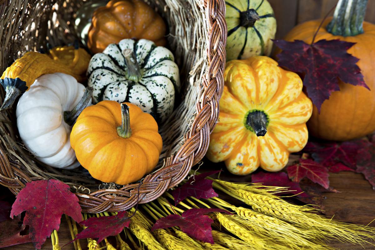 Fall a prime time to look to nature for decor | Features/Entertainment ...