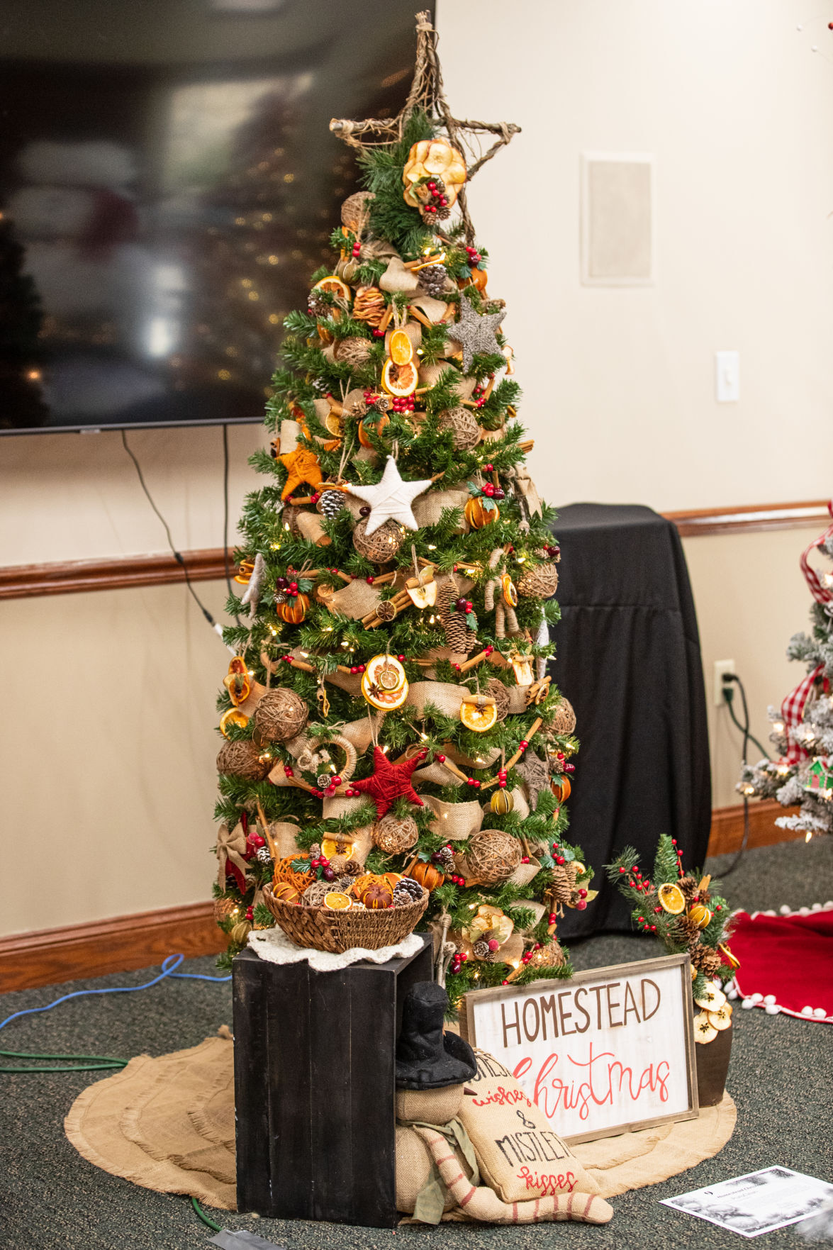 20211117 festivaloftrees 10.jpg