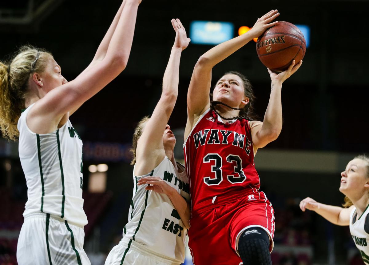 Photos Wayne Falls To Wyoming East At State Tournament