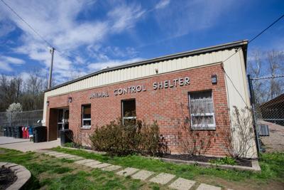 2020 0327 shelter 02.jpg.jpg