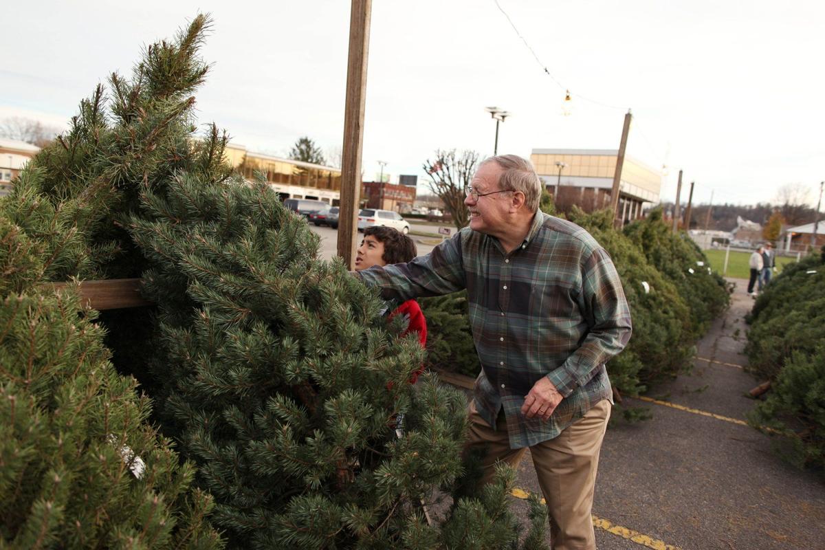 Christmas tree sales start early News