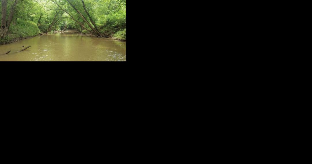 EPA, environmentalists reach Lower Guyandotte settlement | News - Vimarsana News