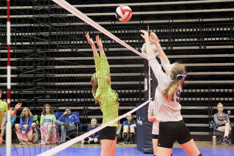 Photos Spikefest Volleyball Tournament Photo Galleries herald