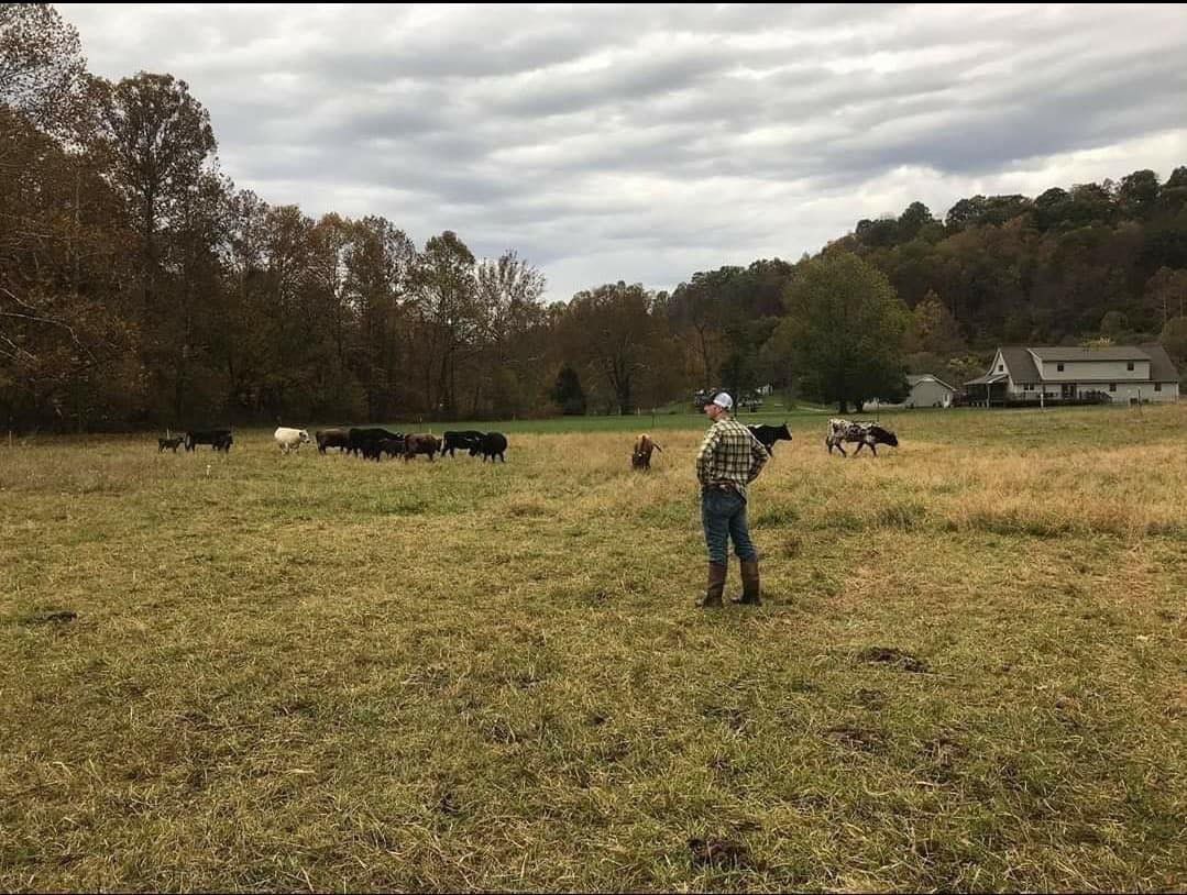 Ripley farmer building notsonew food infrastructure Business