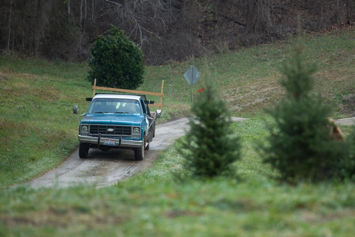 Photos Dickess Christmas Tree Farm Multimedia