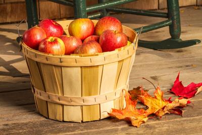 Apple Day 2022 Paintsville Ky