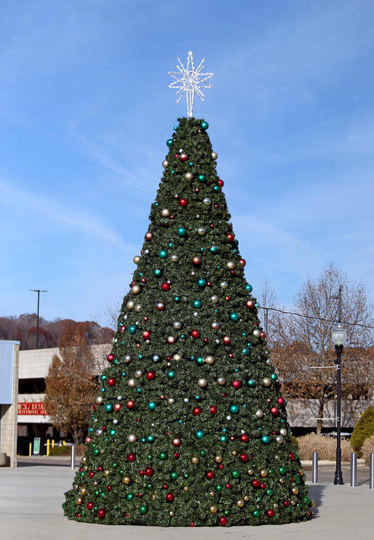 Arena's Christmas Tree set up ahead of lighting ceremony News