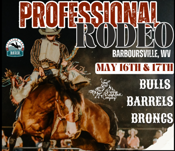 Bulls, barrels and broncs: Rodeo at Barboursville Park kicks off Friday ...