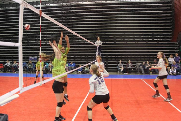 Photos Spikefest Volleyball Tournament Photo Galleries herald