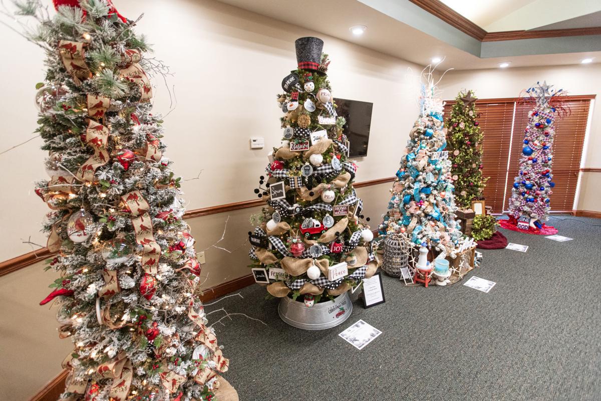 20211117 festivaloftrees 09.jpg