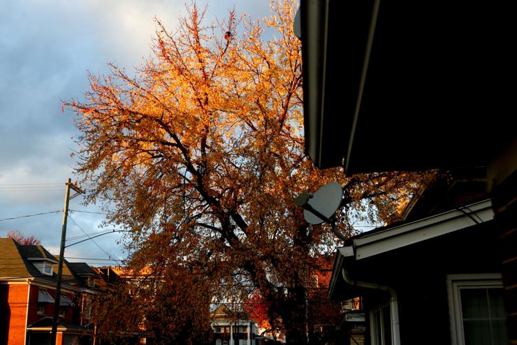 Photos: The Sun Sets on a Chilly Day | Photos News | herald-dispatch.com
