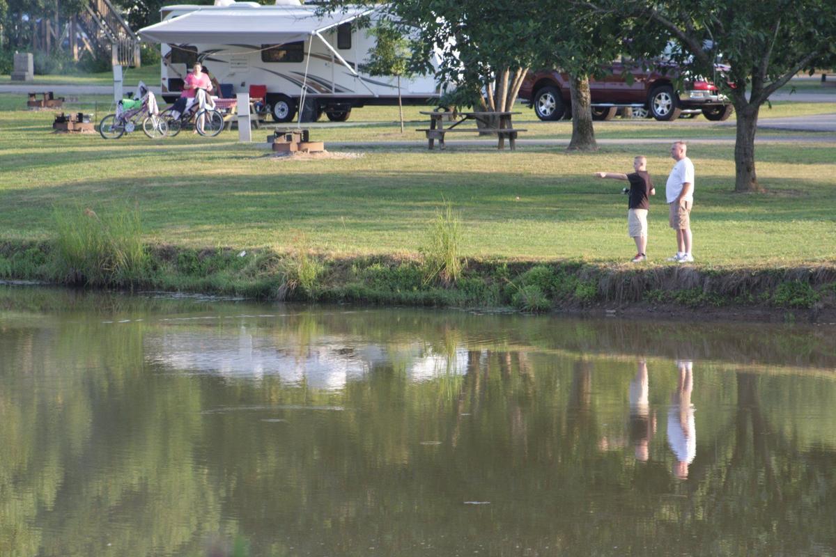 Gallery Beech Fork Marina Photos News