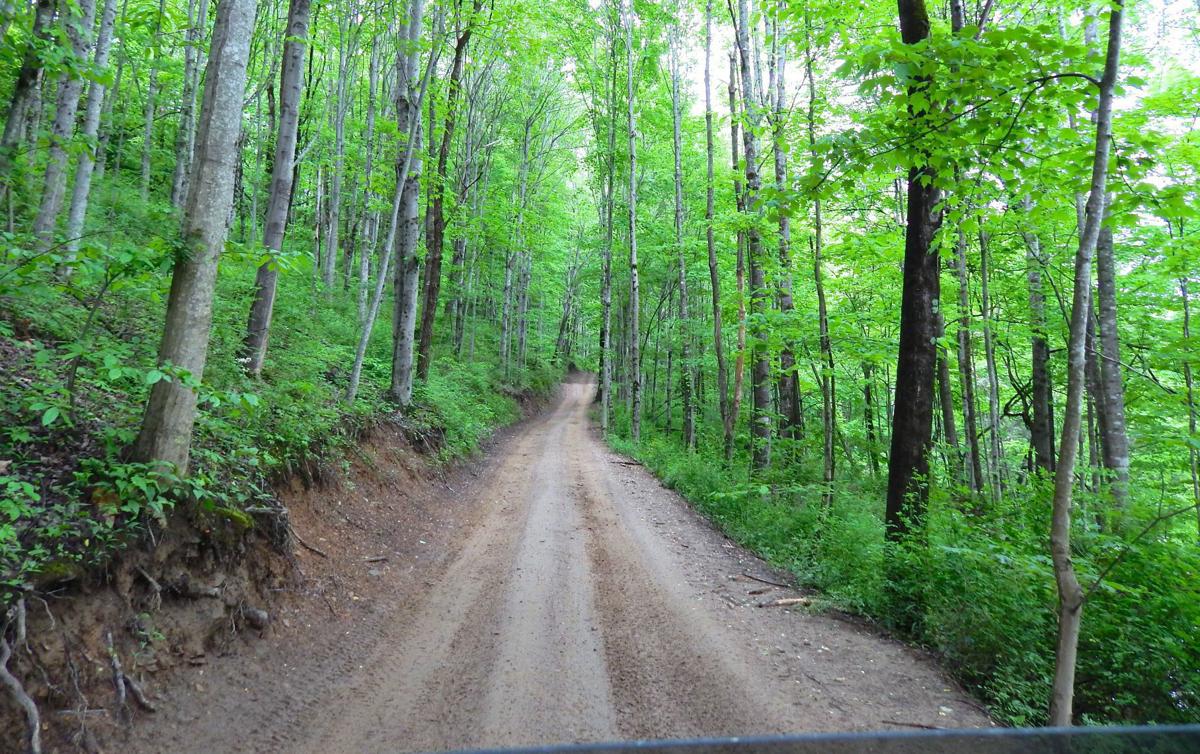 Descendants Of Famous Feuding Hatfields Mccoys Sell Legal Moonshine Therecord Com