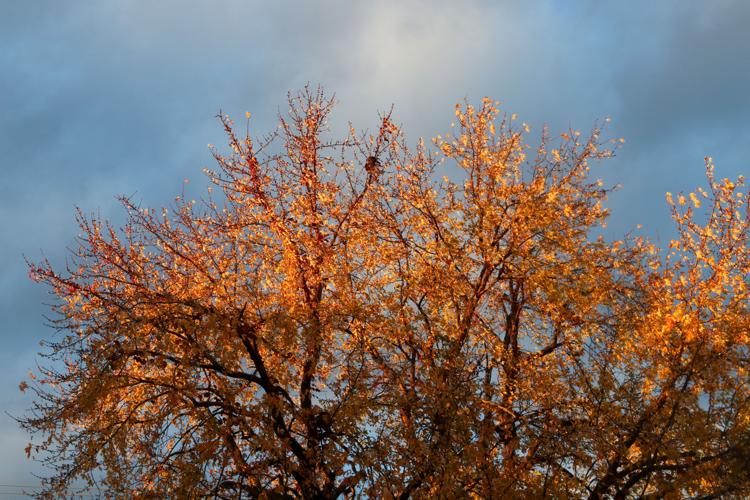 Photos: The Sun Sets on a Chilly Day | Photos News | herald-dispatch.com