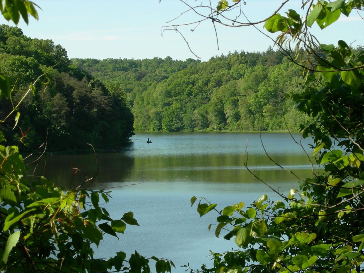 Wayne National Forest to expand ATV trail | Ohio News | herald-dispatch.com