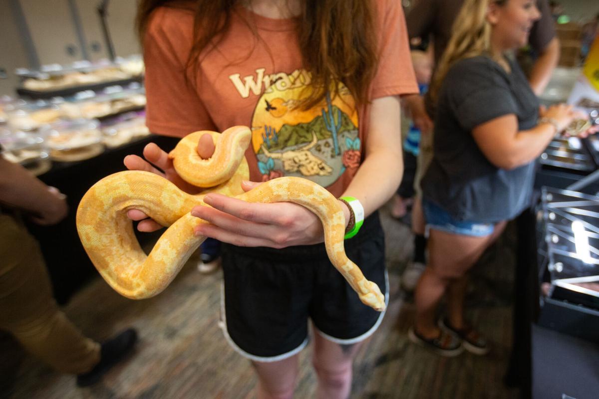 Photos West Virginia Reptile Expo at the DoubleTree Multimedia