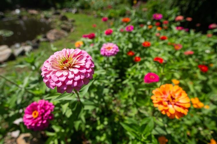 20230819_hd_garden