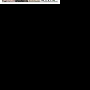 Page E1 | e-Edition | herald-dispatch.com