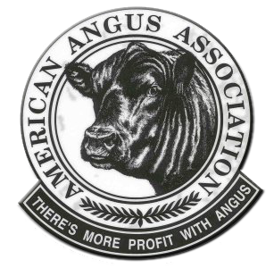 American Angus Association