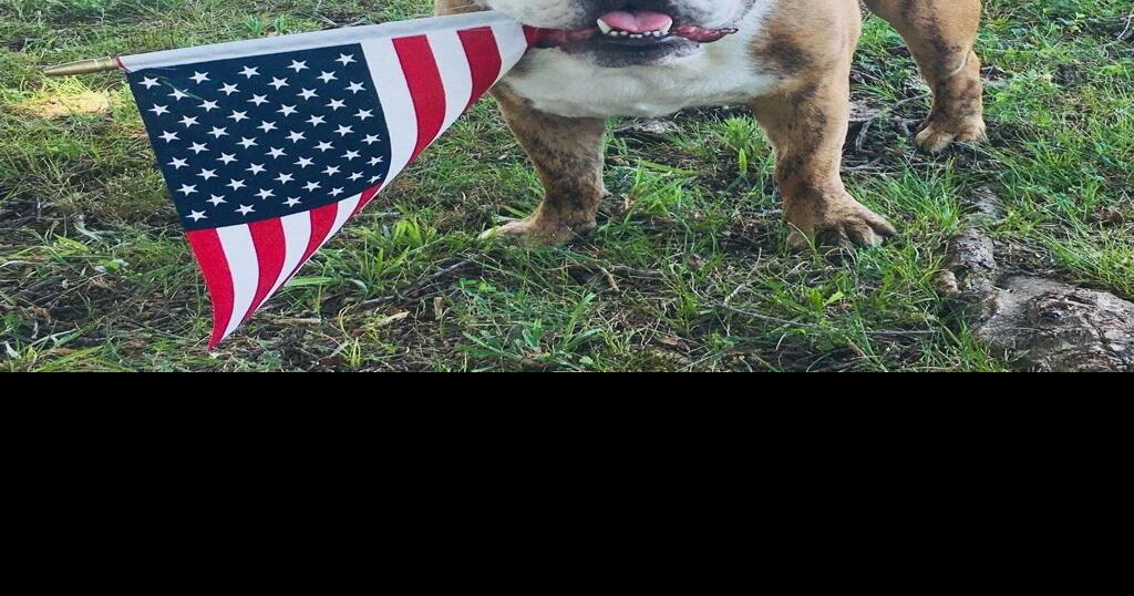 Sewanee gearing up for Fourth of July celebration