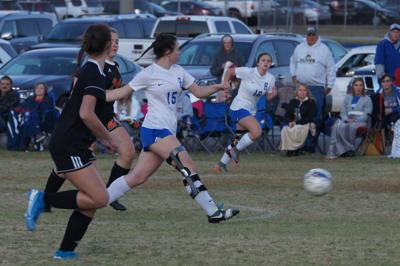 Lady Hornets Fall To Cascade In District Finals Local Sports