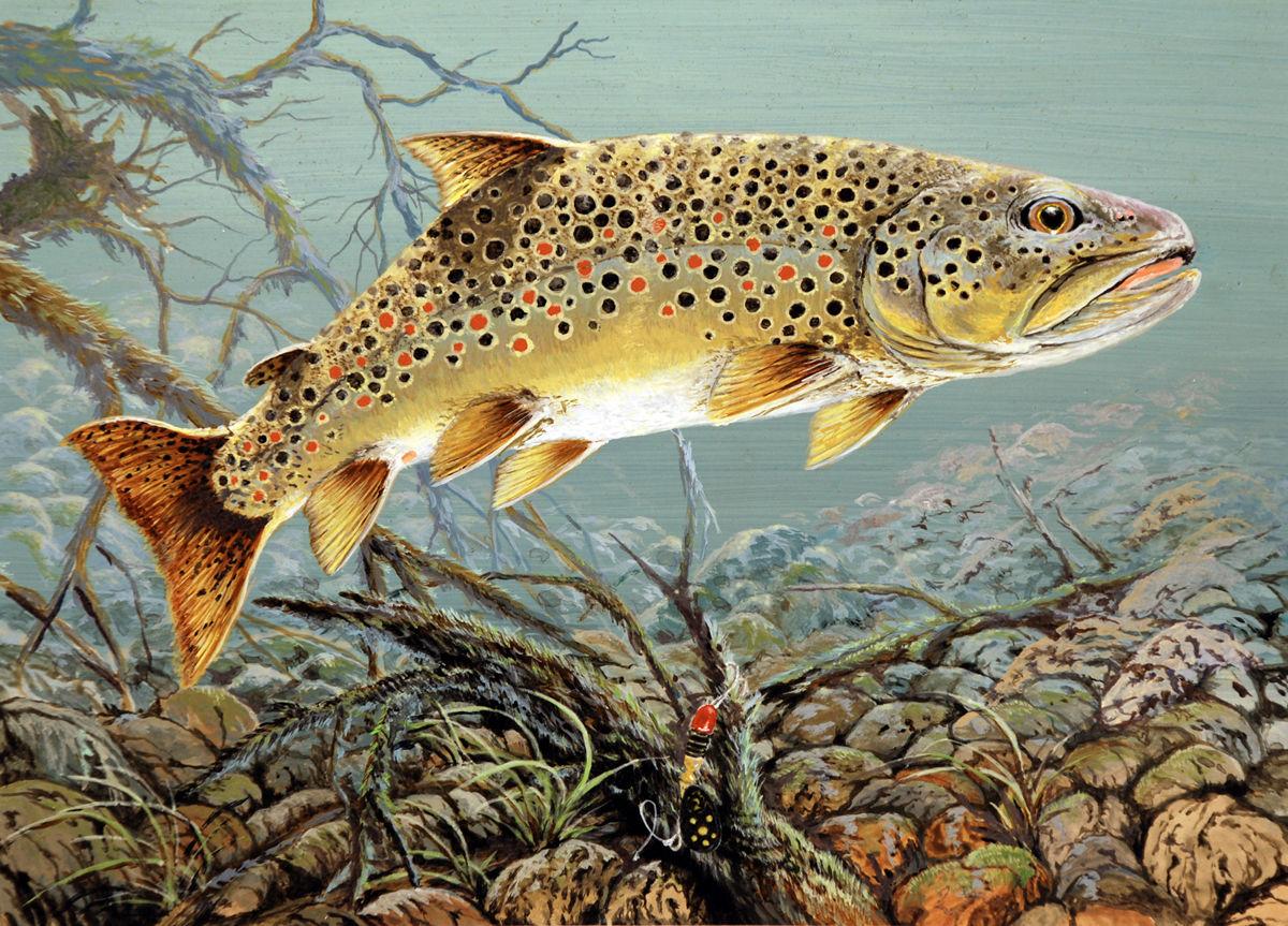 Trout Stocking Is Big Operation In Tennessee Business Finance