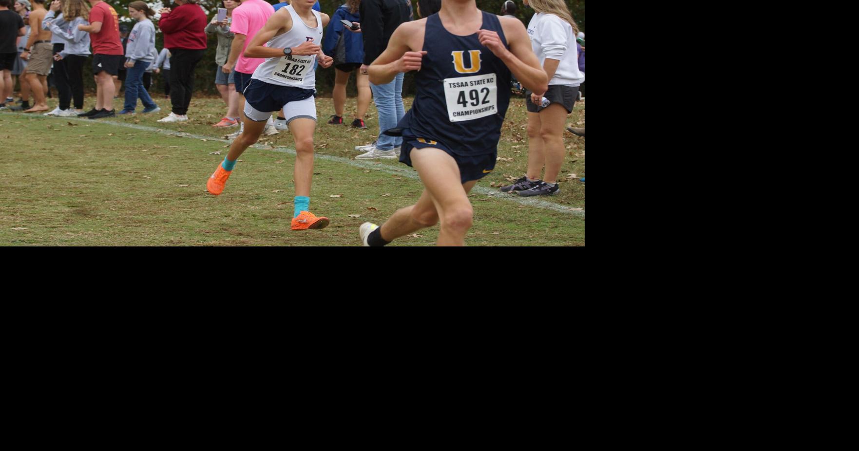 Cross country Rebels, Rebelettes run in state meet