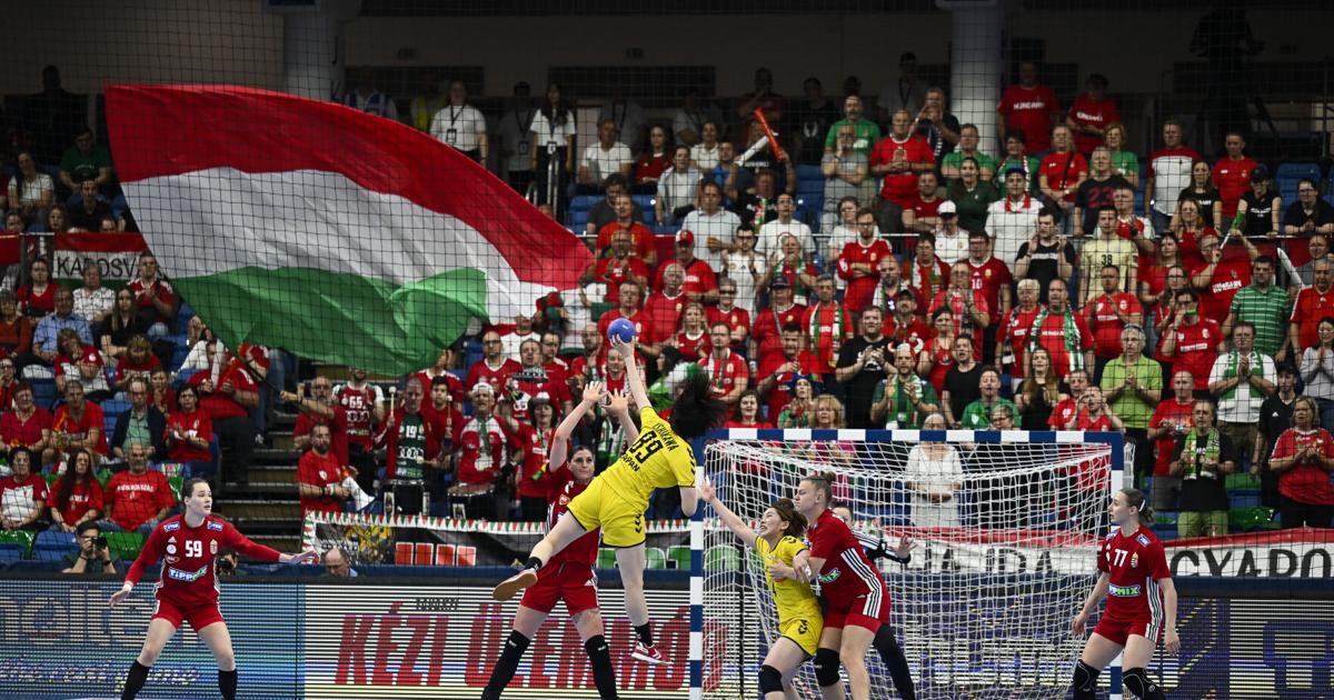 ハンガリー 日本ハンドボール予選 | 国技