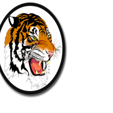 SES Tiger awards presented for first quarter